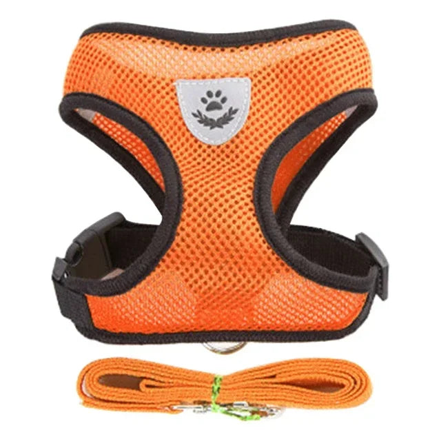Summer small dog pet chest and back breathable dog chest and back suit cat outdoor traction rope child collar