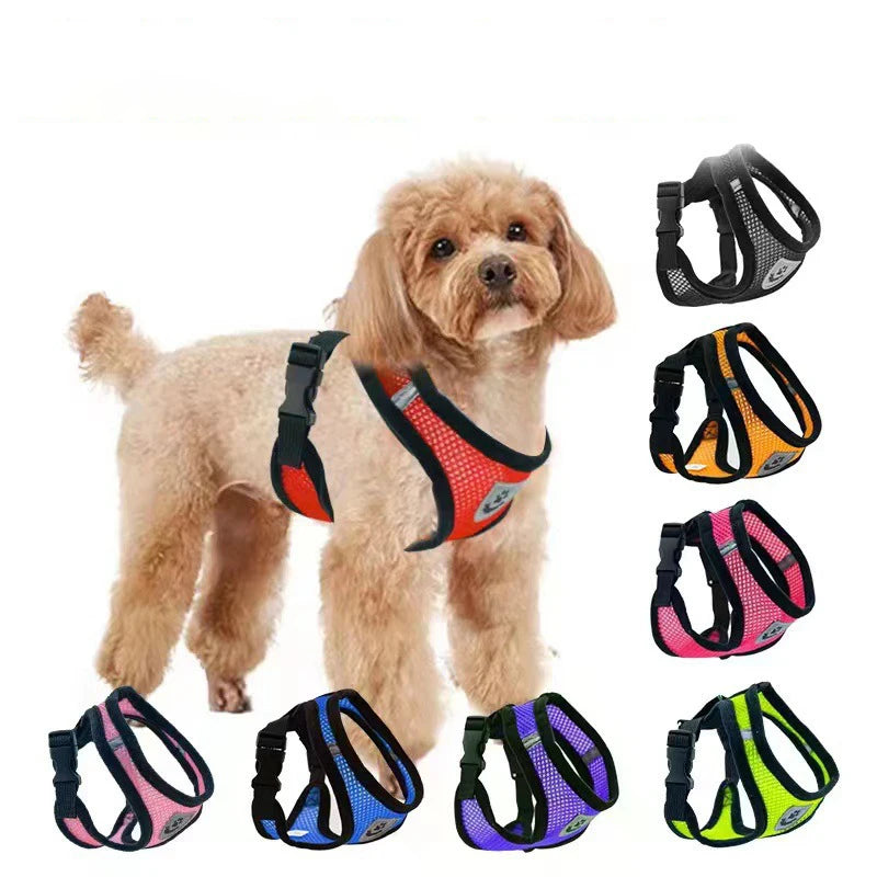 Summer small dog pet chest and back breathable dog chest and back suit cat outdoor traction rope child collar